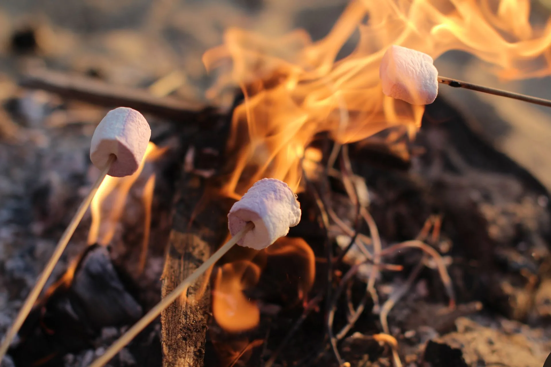 Fire restrictions lifted for FWP lands in Big Horn County