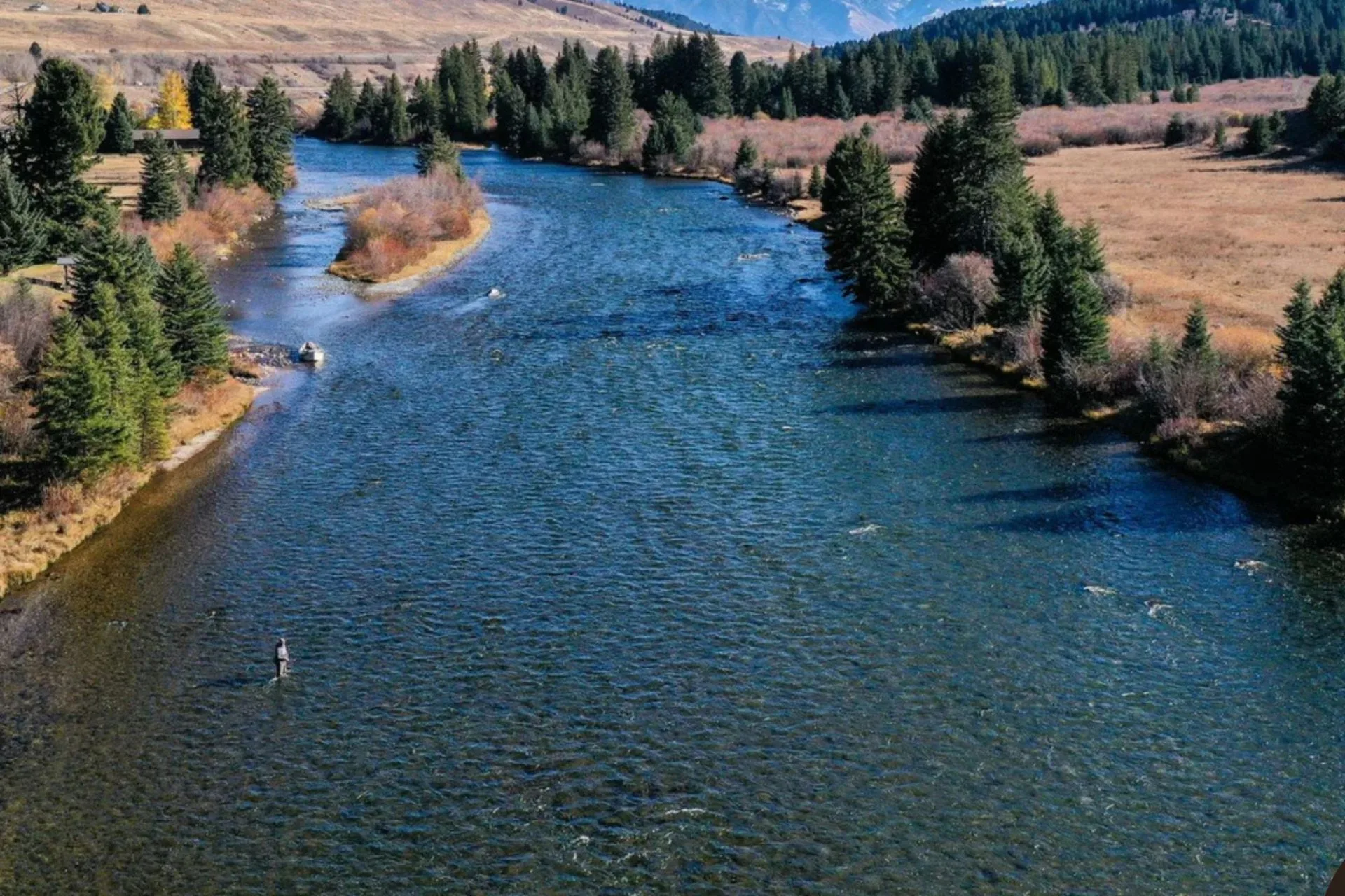 Madison River Fishing Report 9.25.25