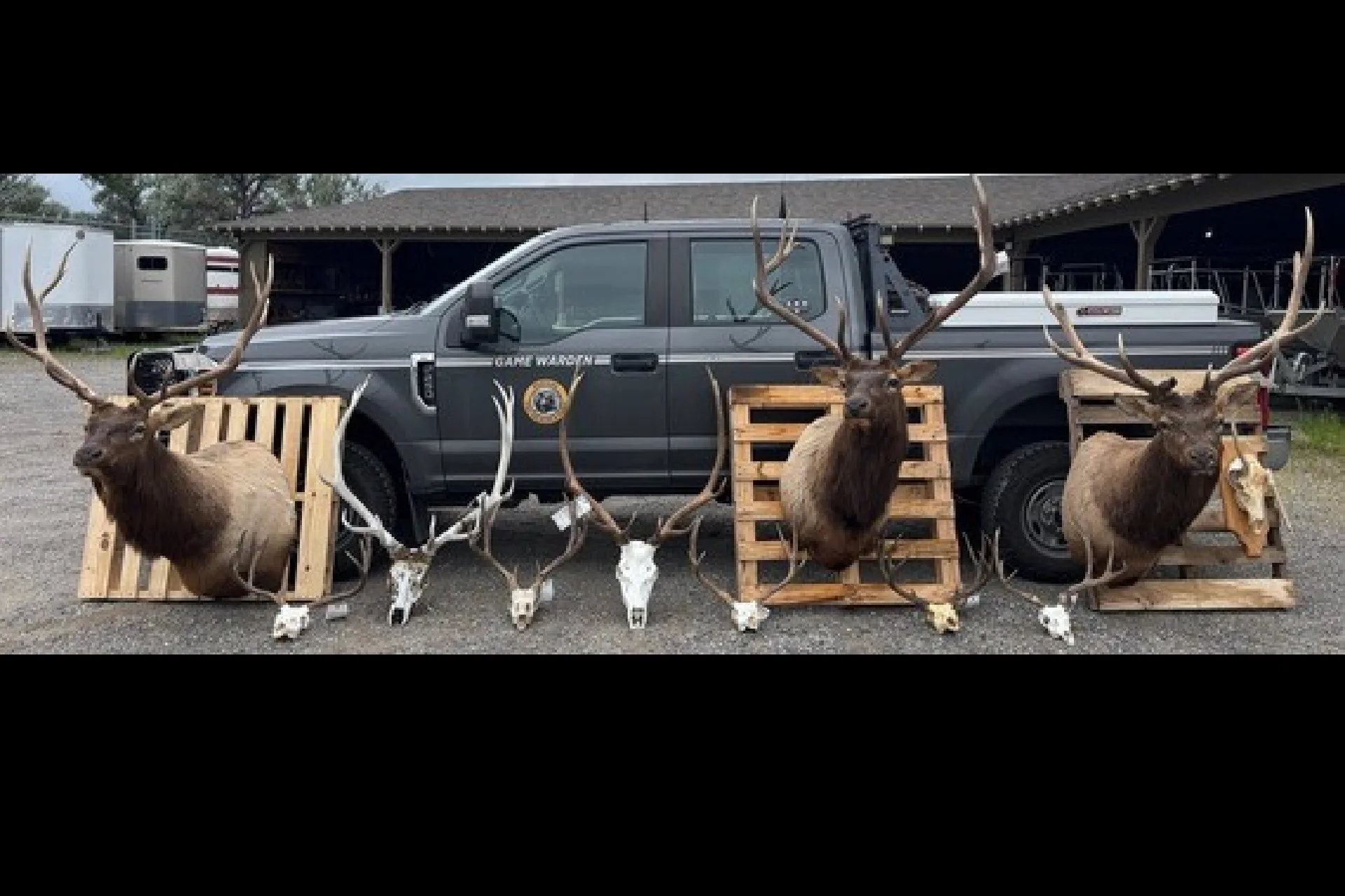 Six men sentenced in Musselshell County poaching case