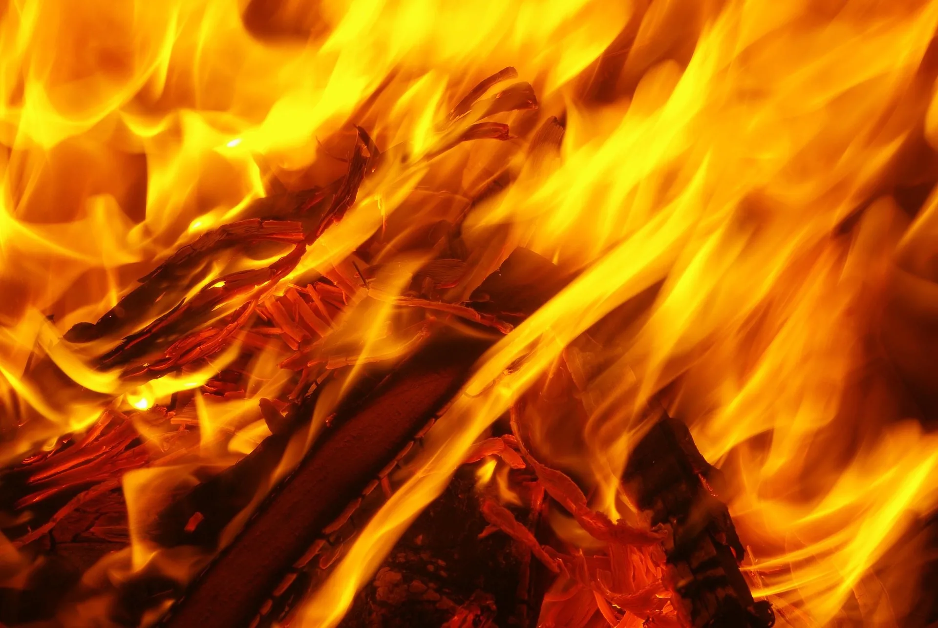 Firefighter killed on Nez Perce–Clearwater National Forests