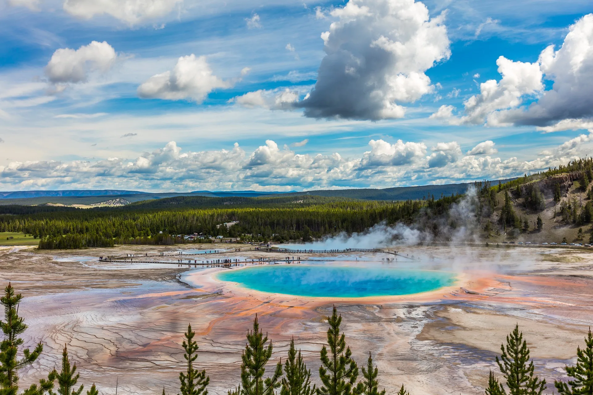 Man banned from park for five years after driving drunk in Yellowstone