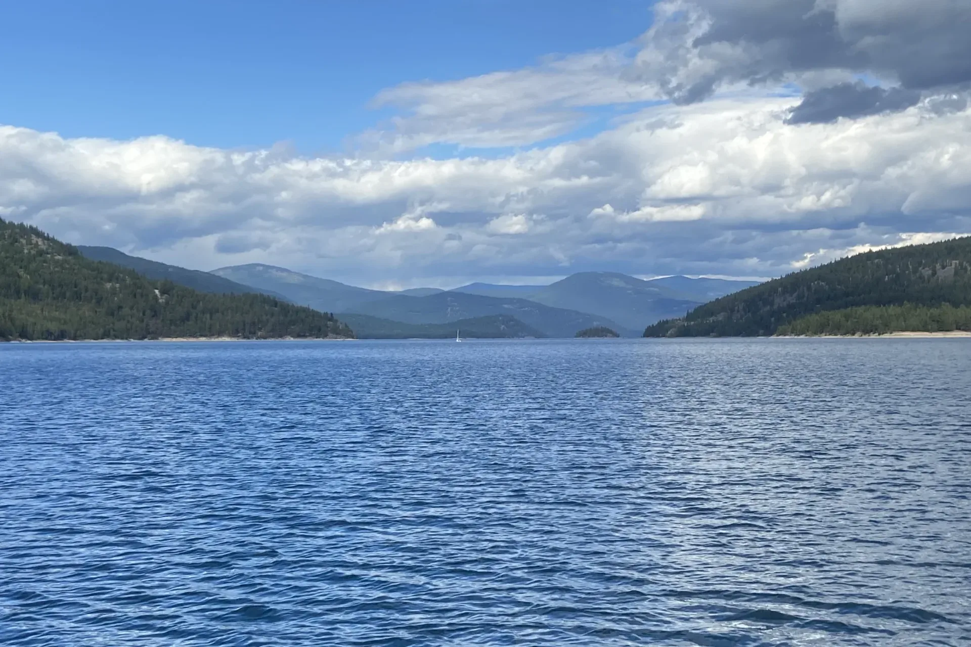 Montana DEQ Denies Petition to Modify the Selenium Standard for Lake Koocanusa