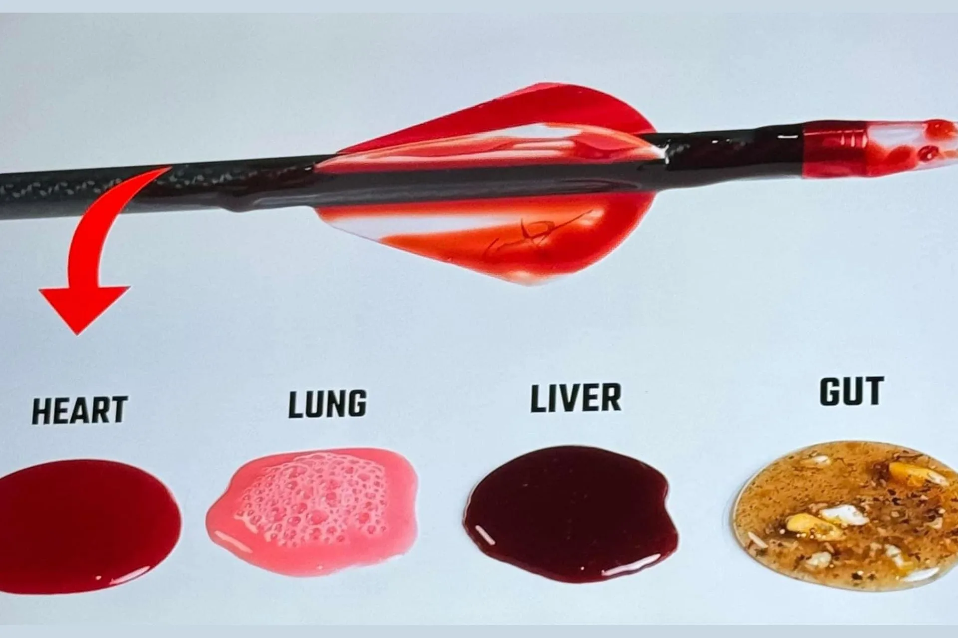Tracking Blood