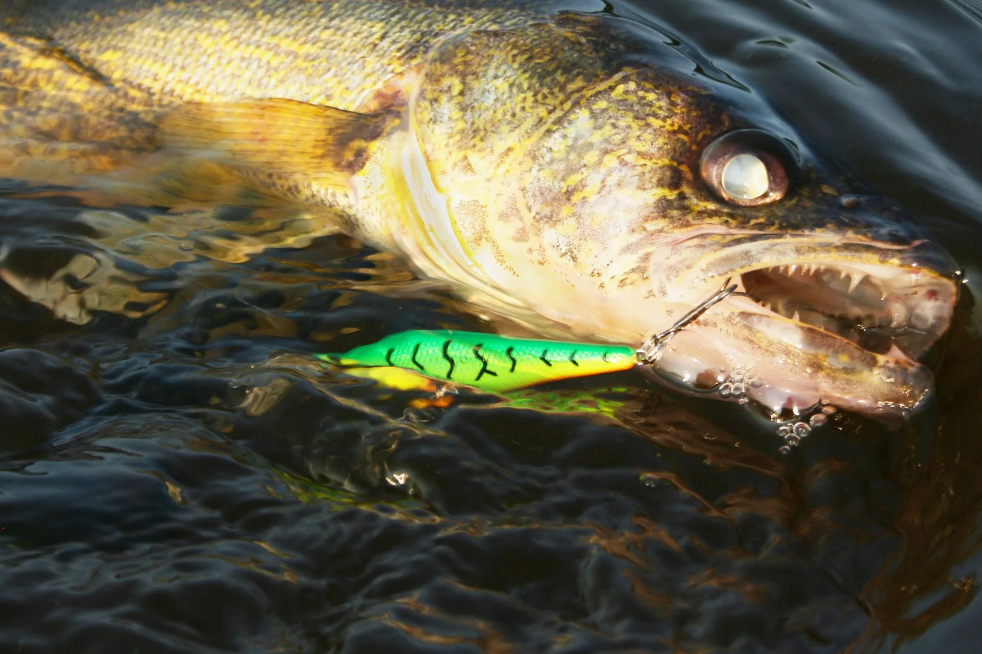 Helena Area Reservoirs Fishing Report 10.27.25