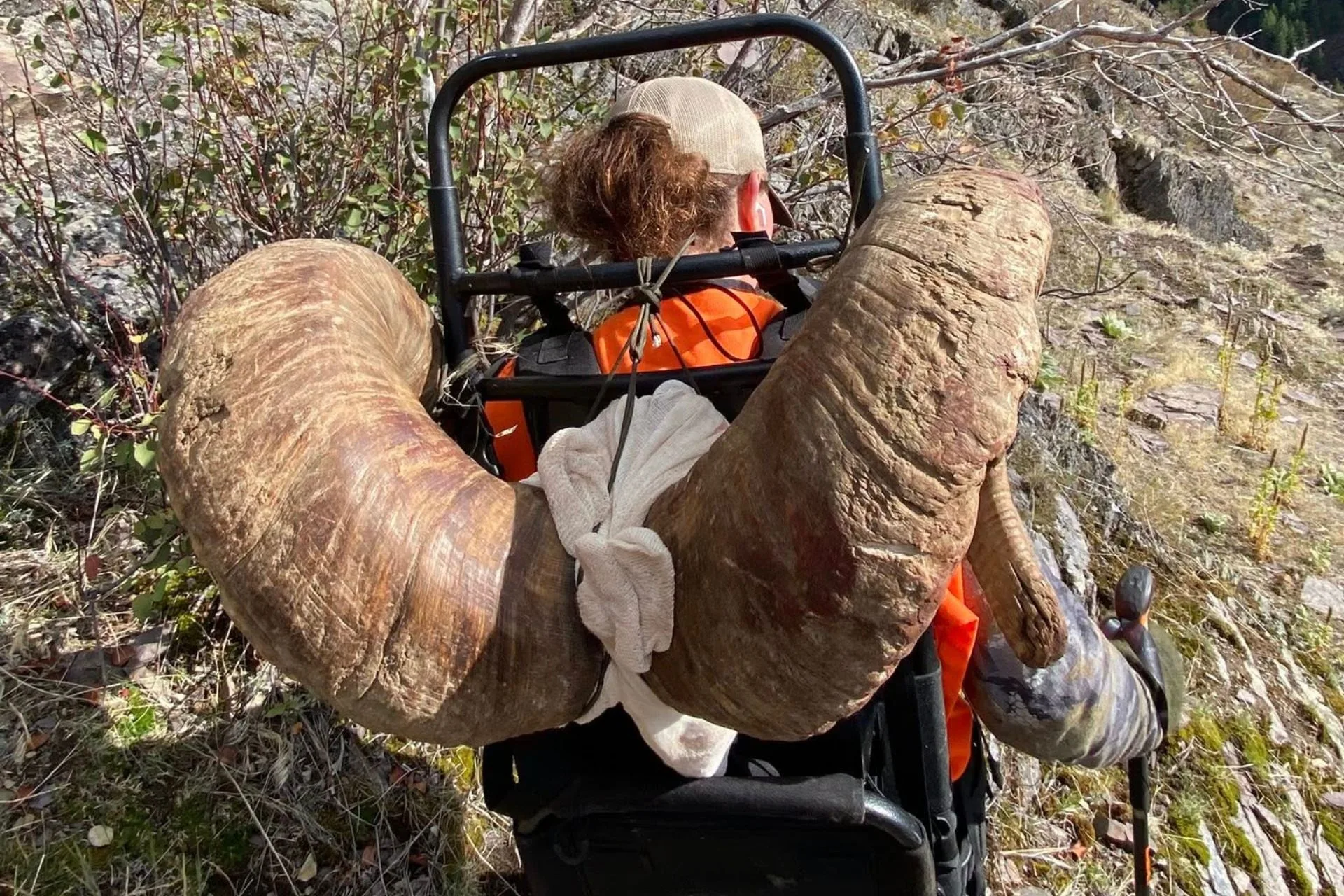 The Sanford Ram is Worth Bragging About