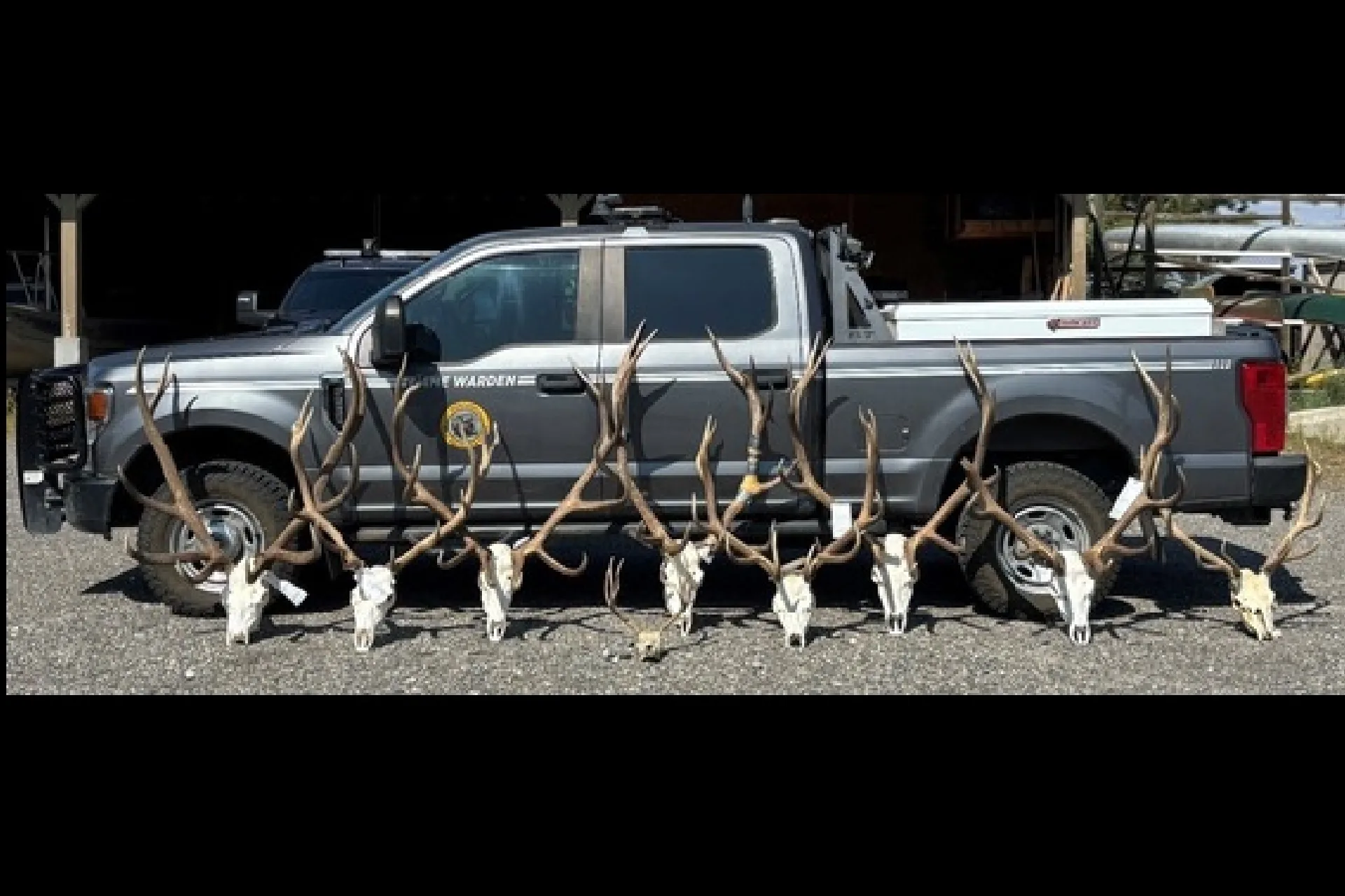 Three men charged in poaching case near Hardin  