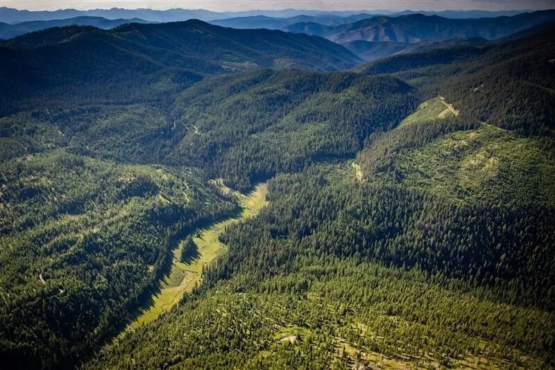 Governor Gianforte Leads Land Board Approval for Second Phase of Montana Great Outdoors Conservation Easement