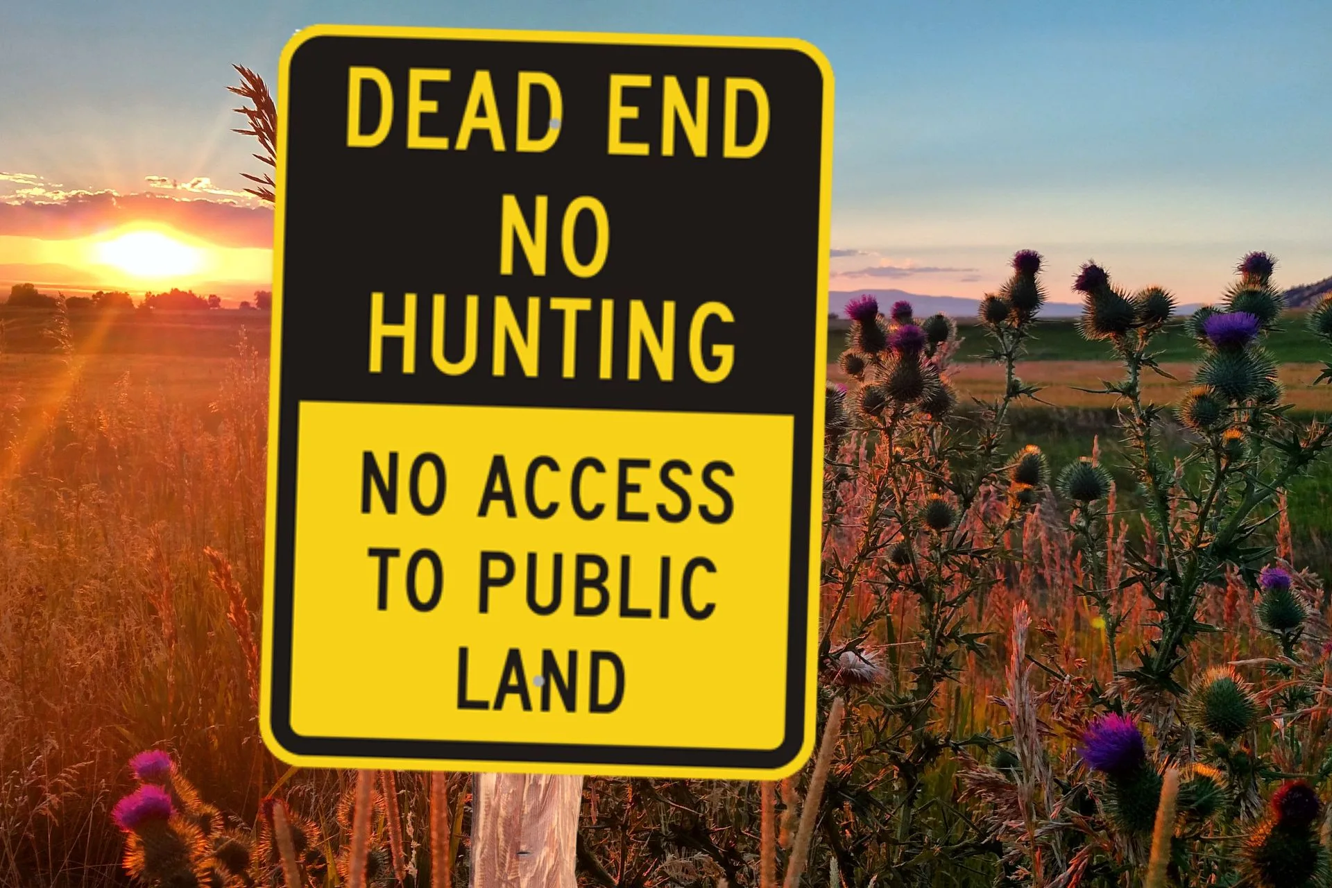 The Hunt for Access in Montana