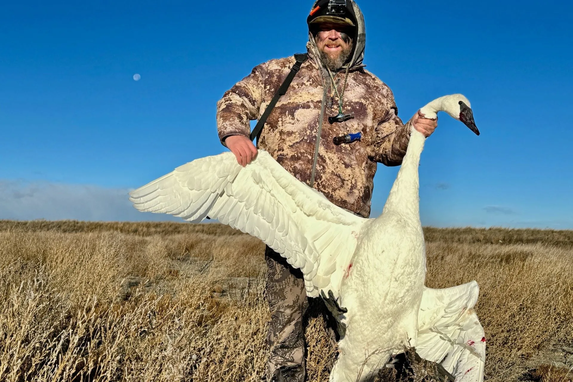 Kamp Cook’s Jurassic Hunt