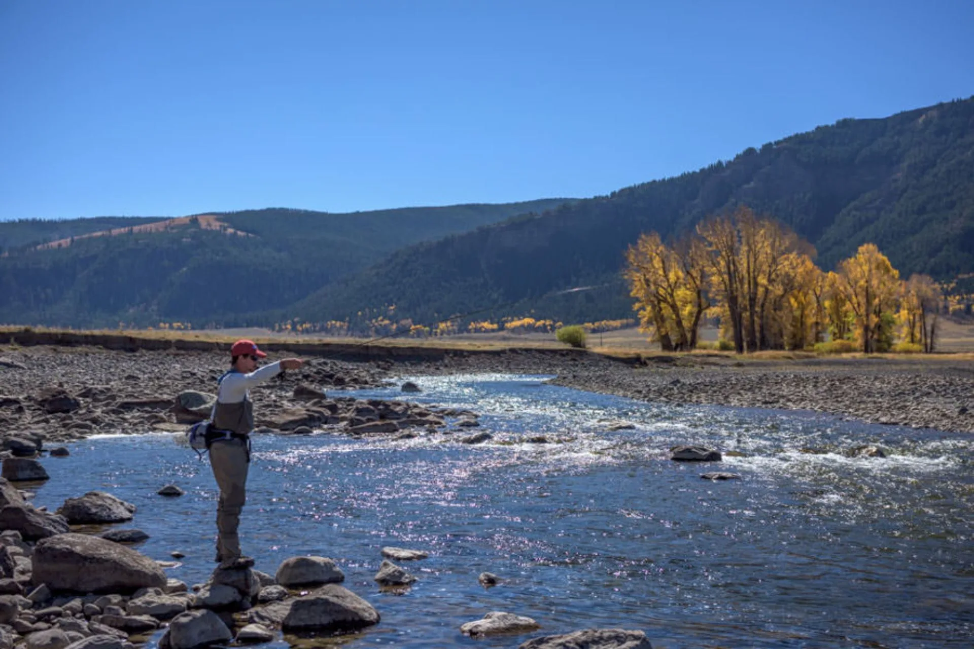 Southwest Montana Fishing Report Overview 11.7.25