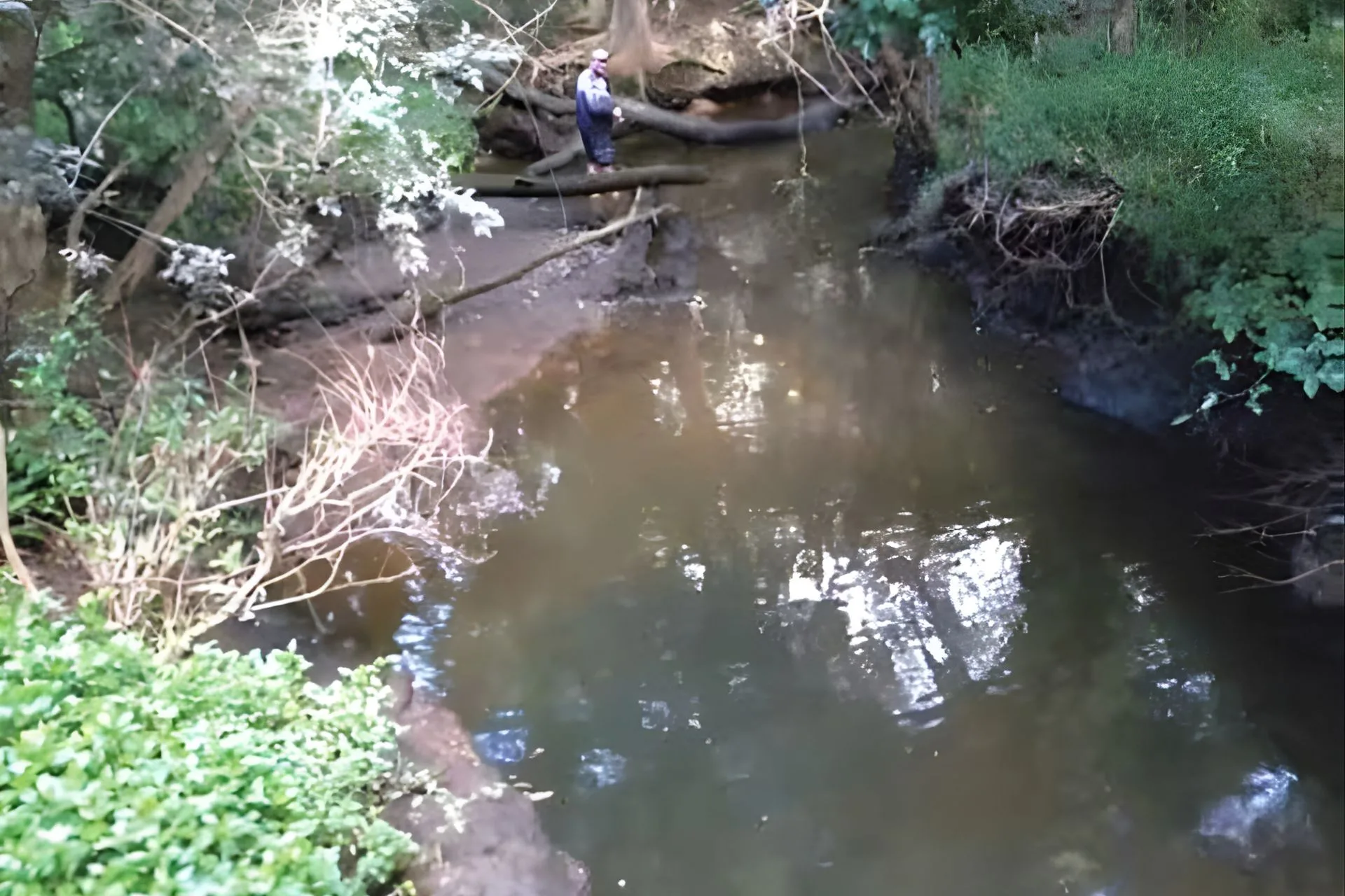 Catch, Release, Repeat: The Lifecycle of Secret Honey Holes