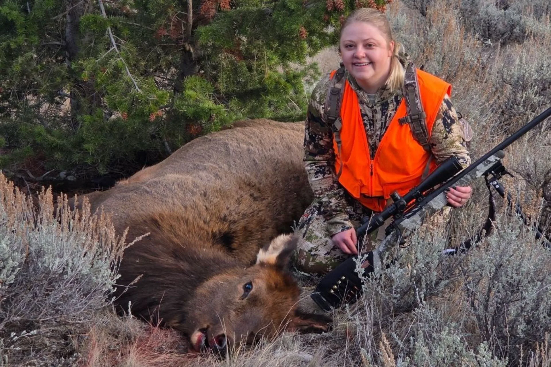 Tradition and a Tagged Elk