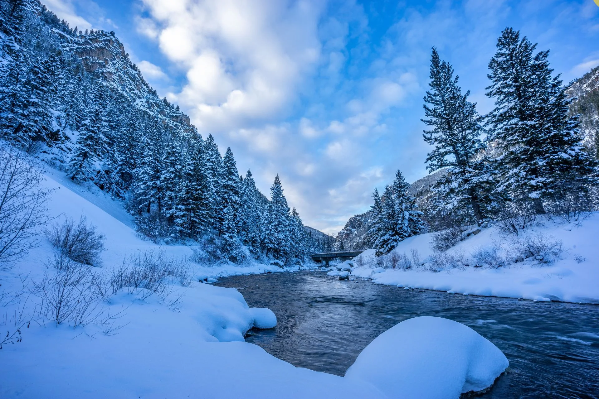 Gallatin River Fishing Report 11.24.25