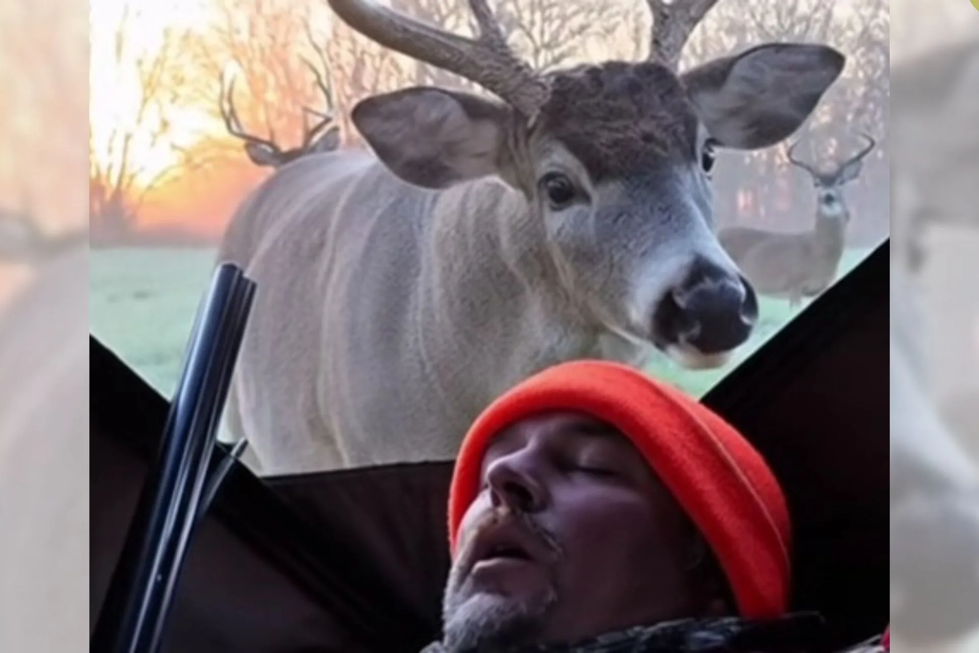 When You Doze Off in the Stand…and the Buck Parade Begins