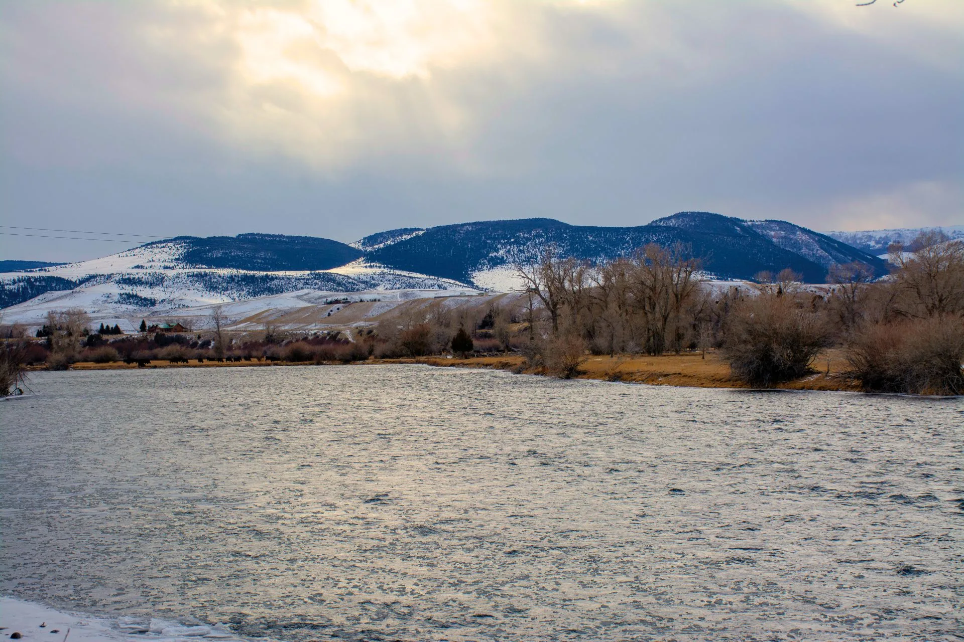 Lower Madison Fishing Report 11.26.25