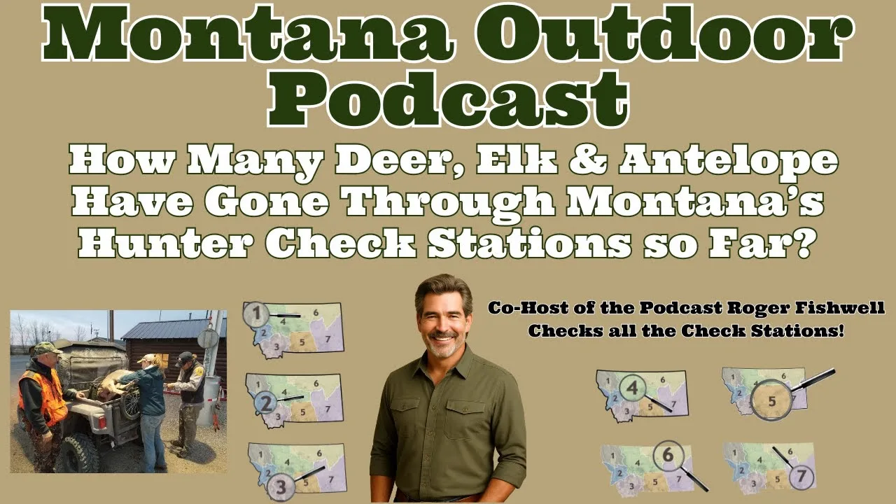 MORS Podcast: Find Out Many Deer, Elk & Antelope Have Gone Through Montana’s Check Stations So Far