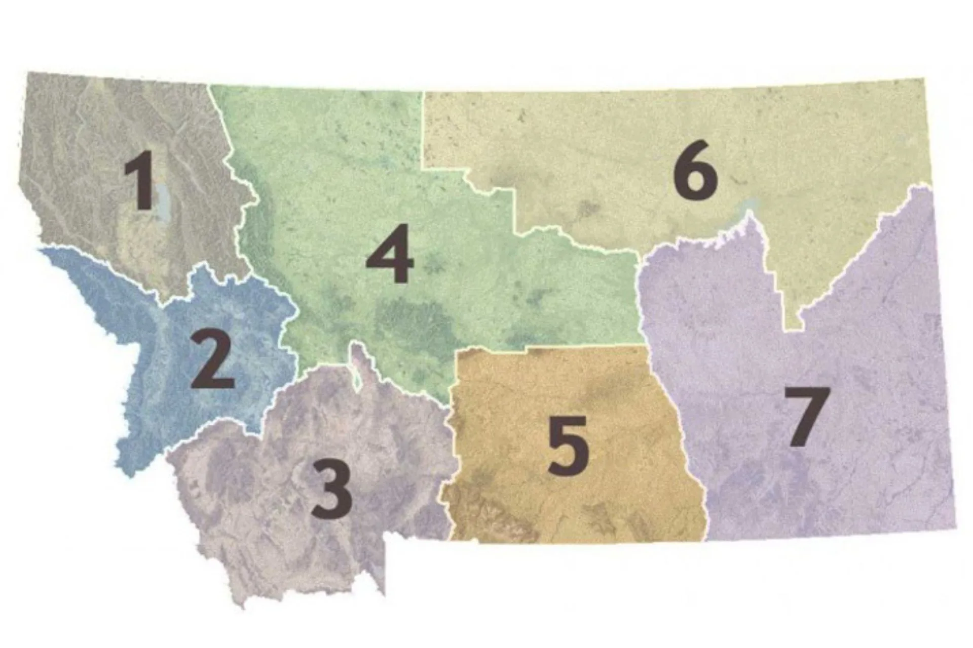 Region 1 End-of-Season Hunters Checkstation Results