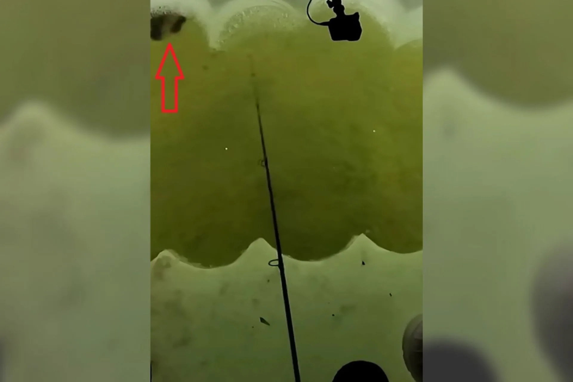 When Your Ice Fishing Hole Comes With… Extras