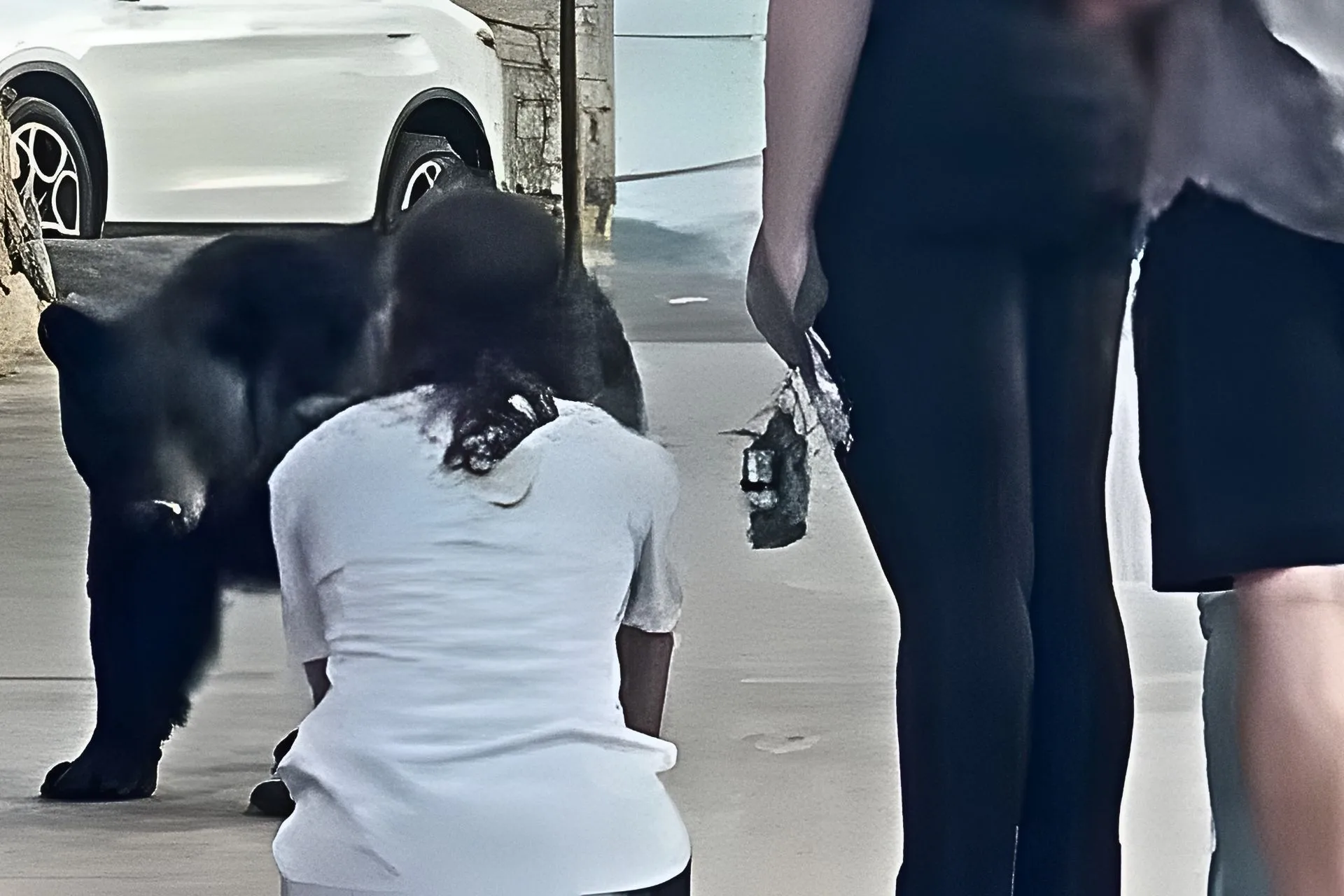 Wild Animals Are Wild—Shocking, We Know