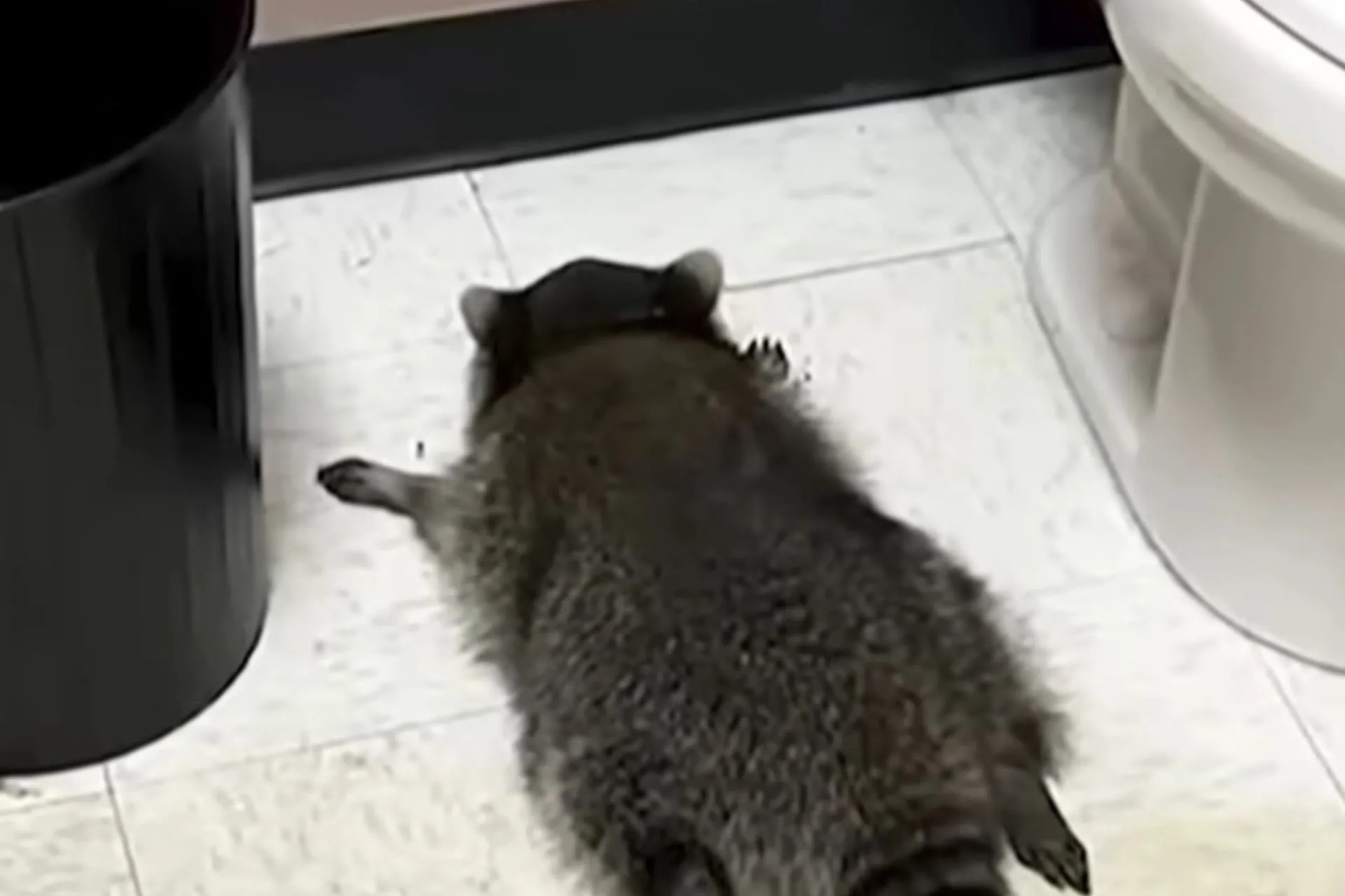 When Holiday Mayhem at the Liquor Is Caused by Unexpected Bandit