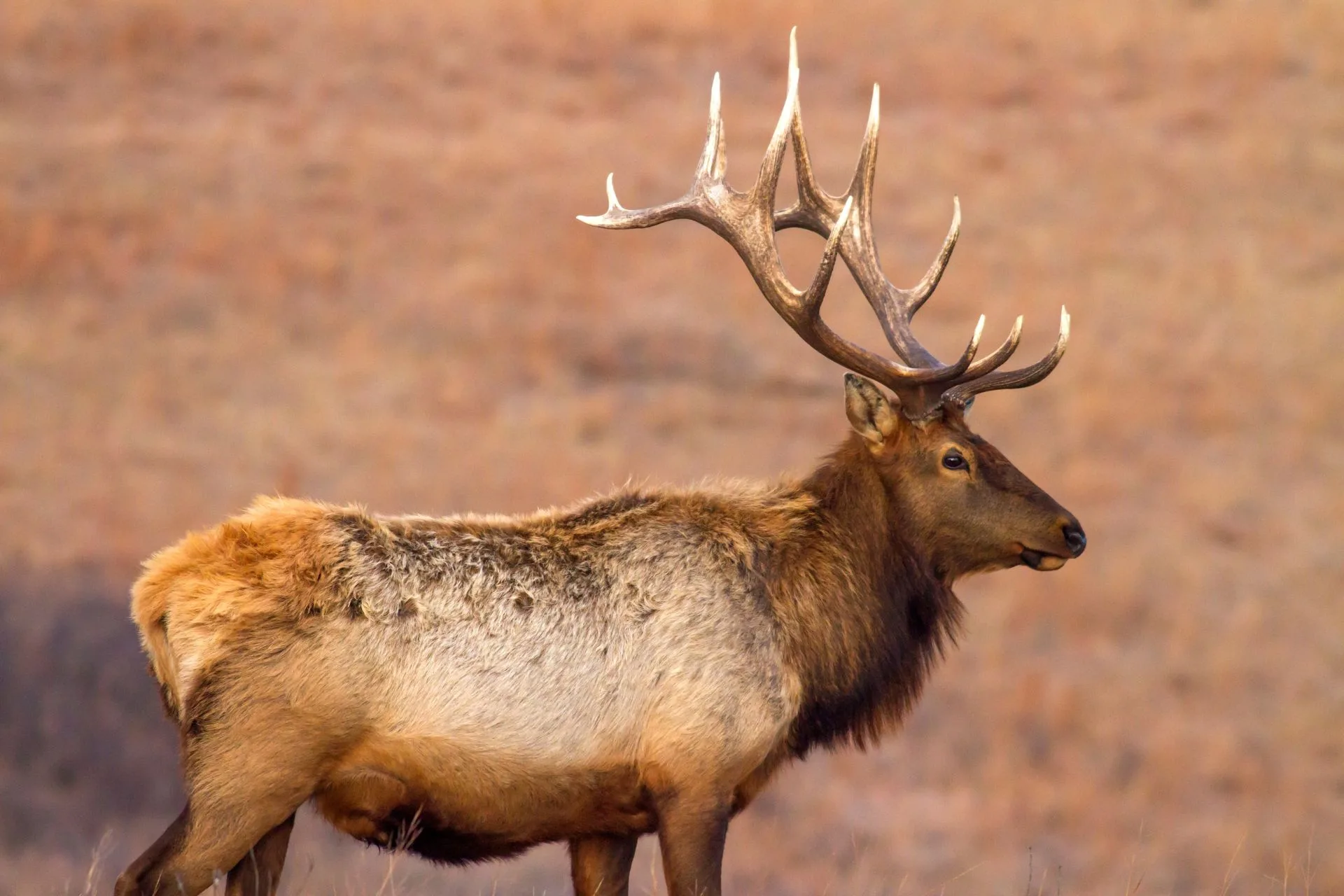 Region 5 Final 2025 General Season Checkstation Results