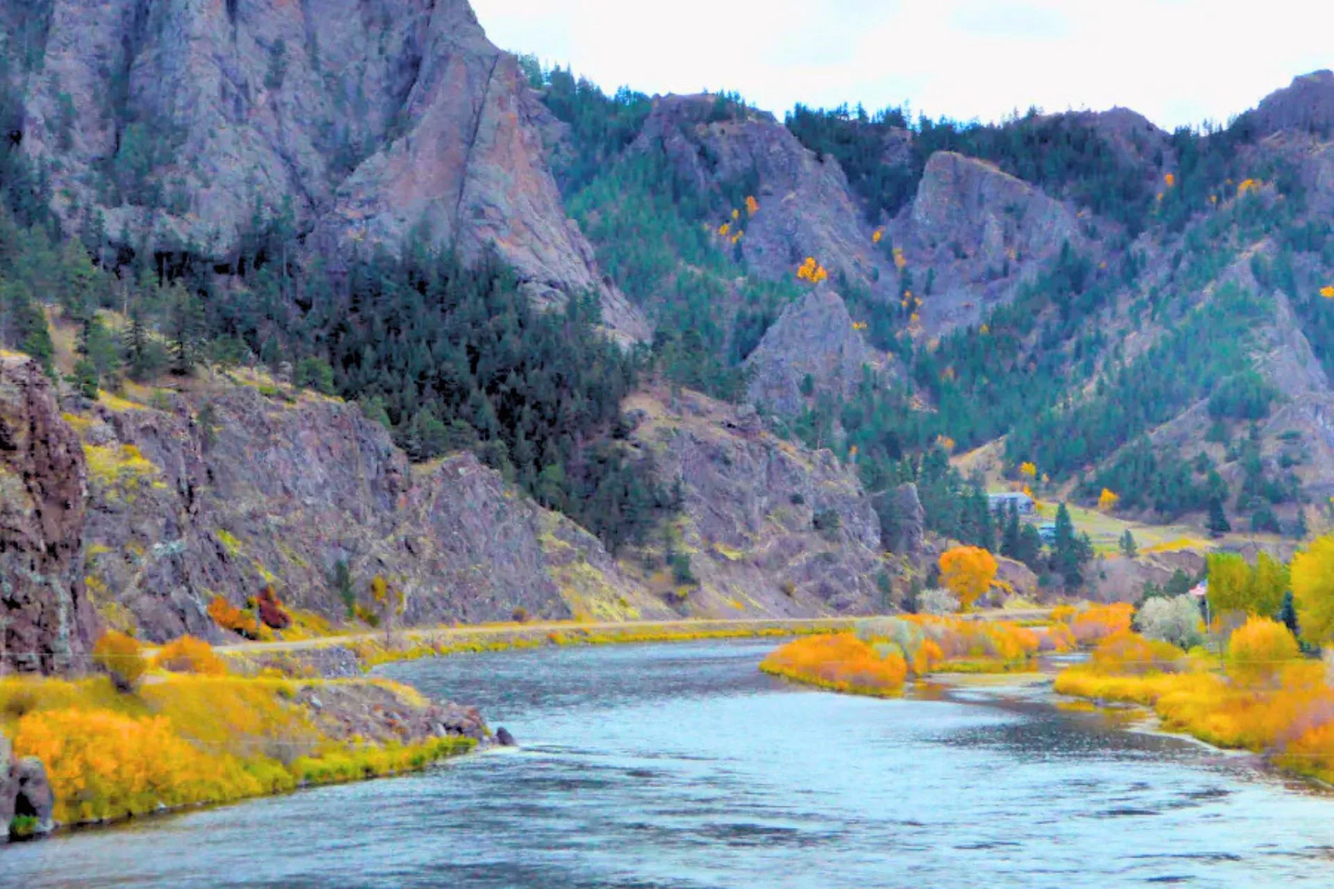 Missouri River Fishing Report 12.8.25