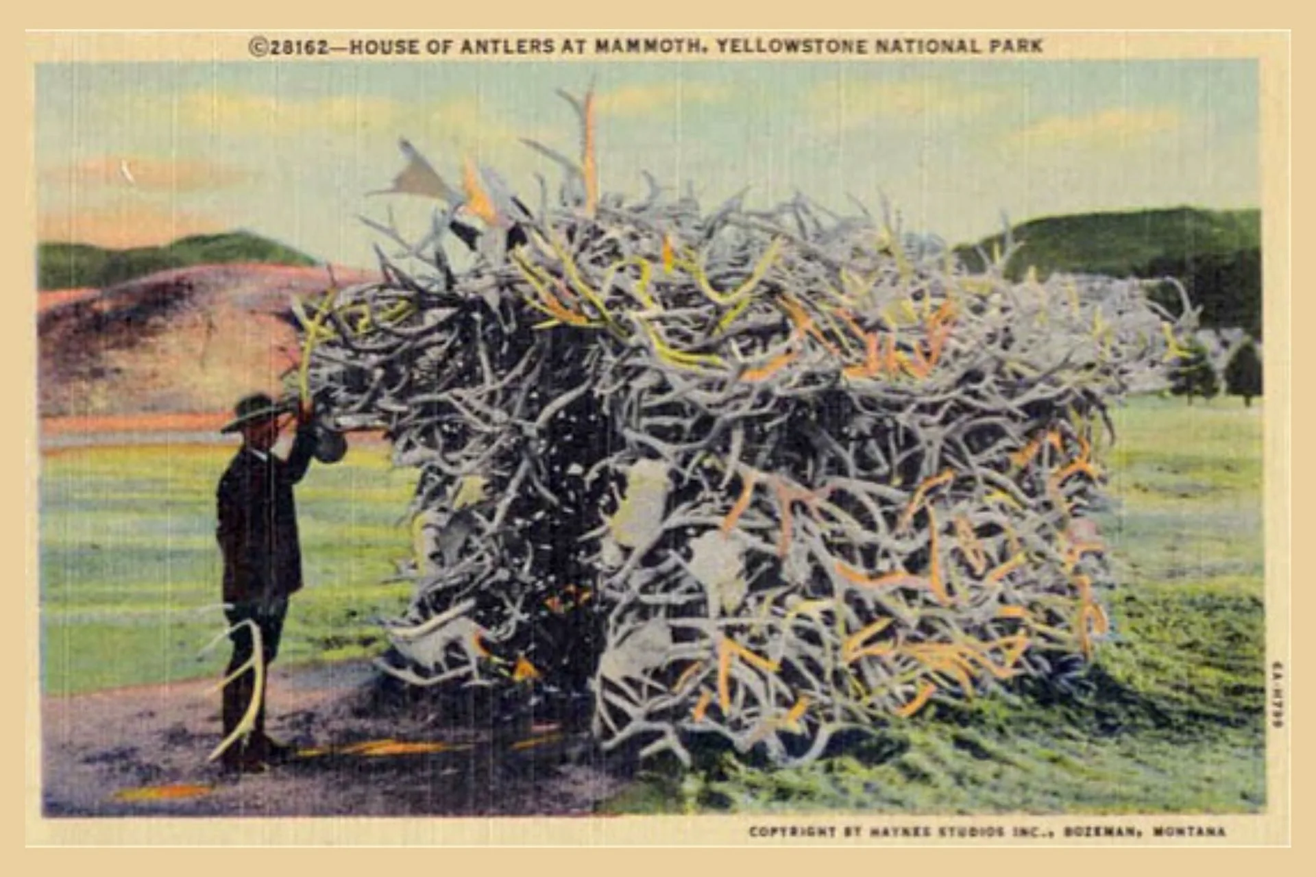 What Happened to Yellowstone’s Most Bizarre Attraction?