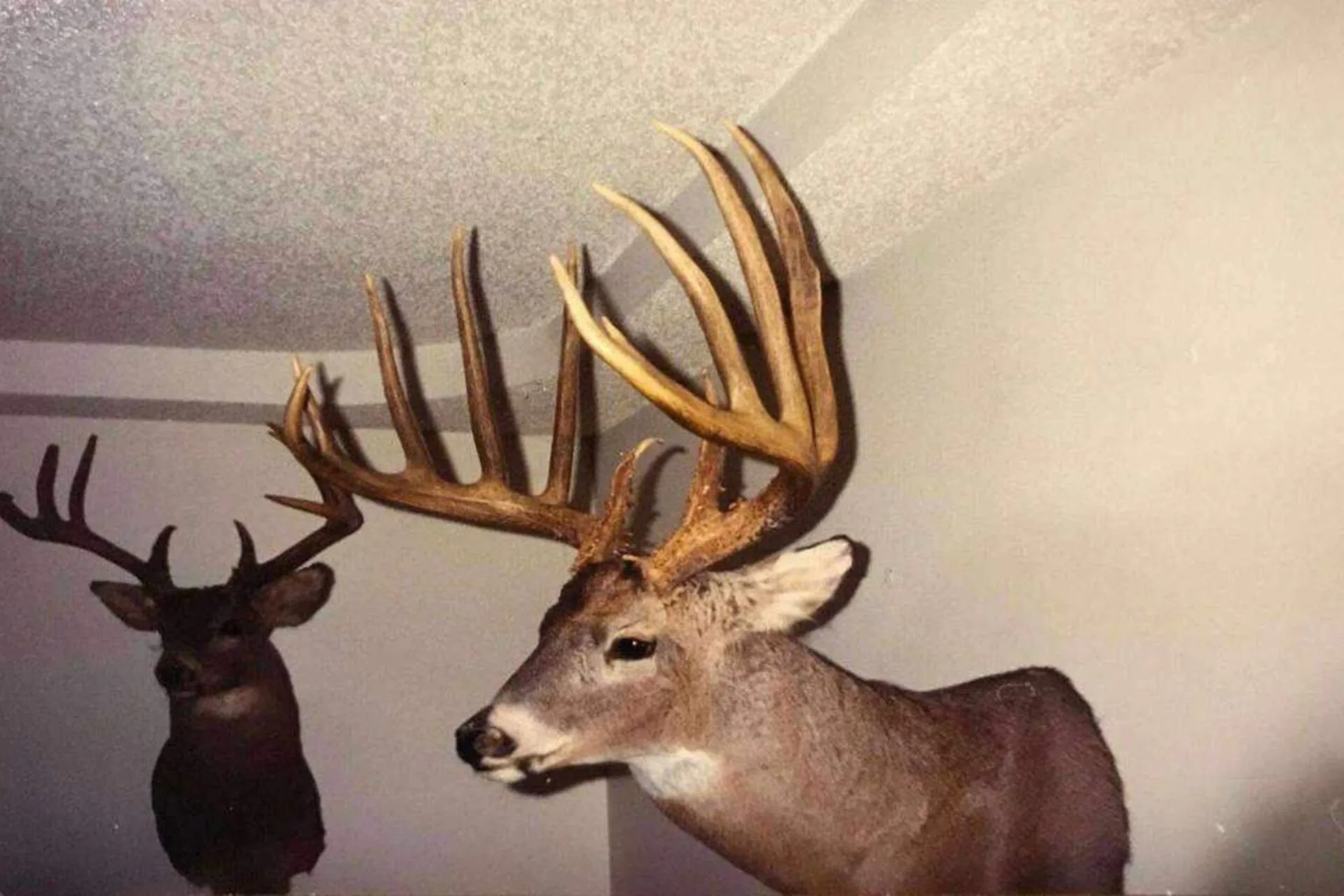 Kansas’ Biggest Typical Whitetail Has a Very Unusual Story