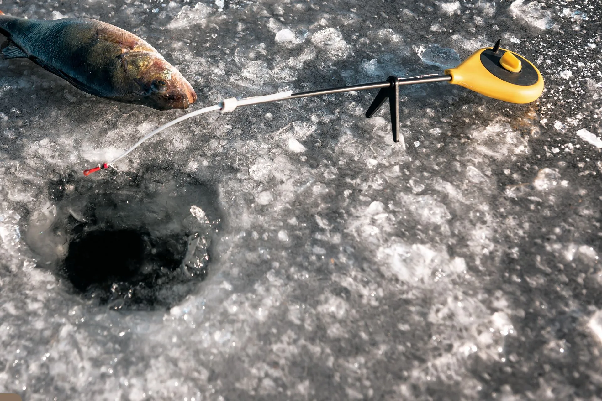The PERFECT Perch Chowder