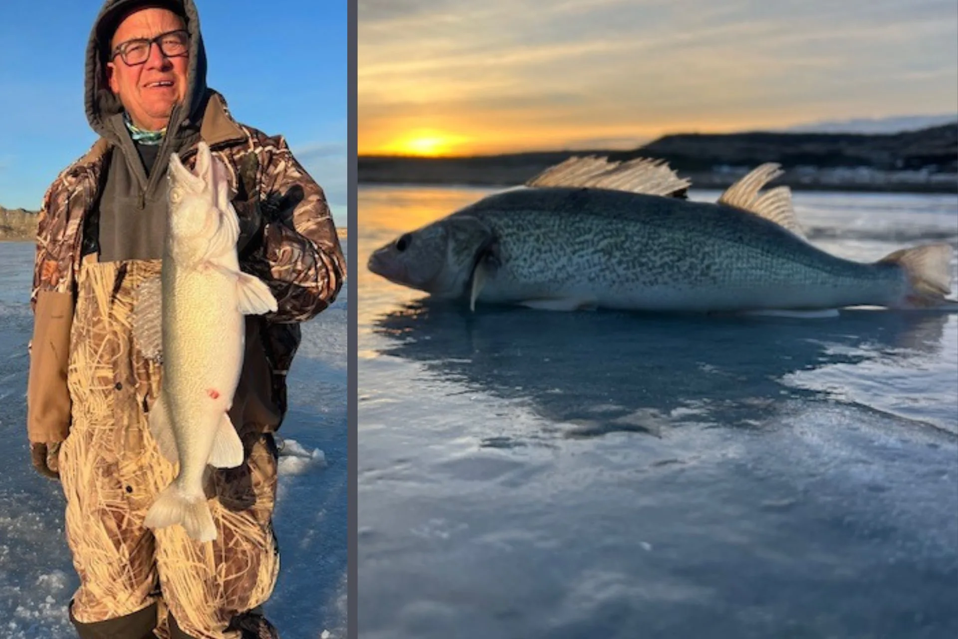Don Wilkins’ Weekly Fort Peck Fishing Report 12.24.25
