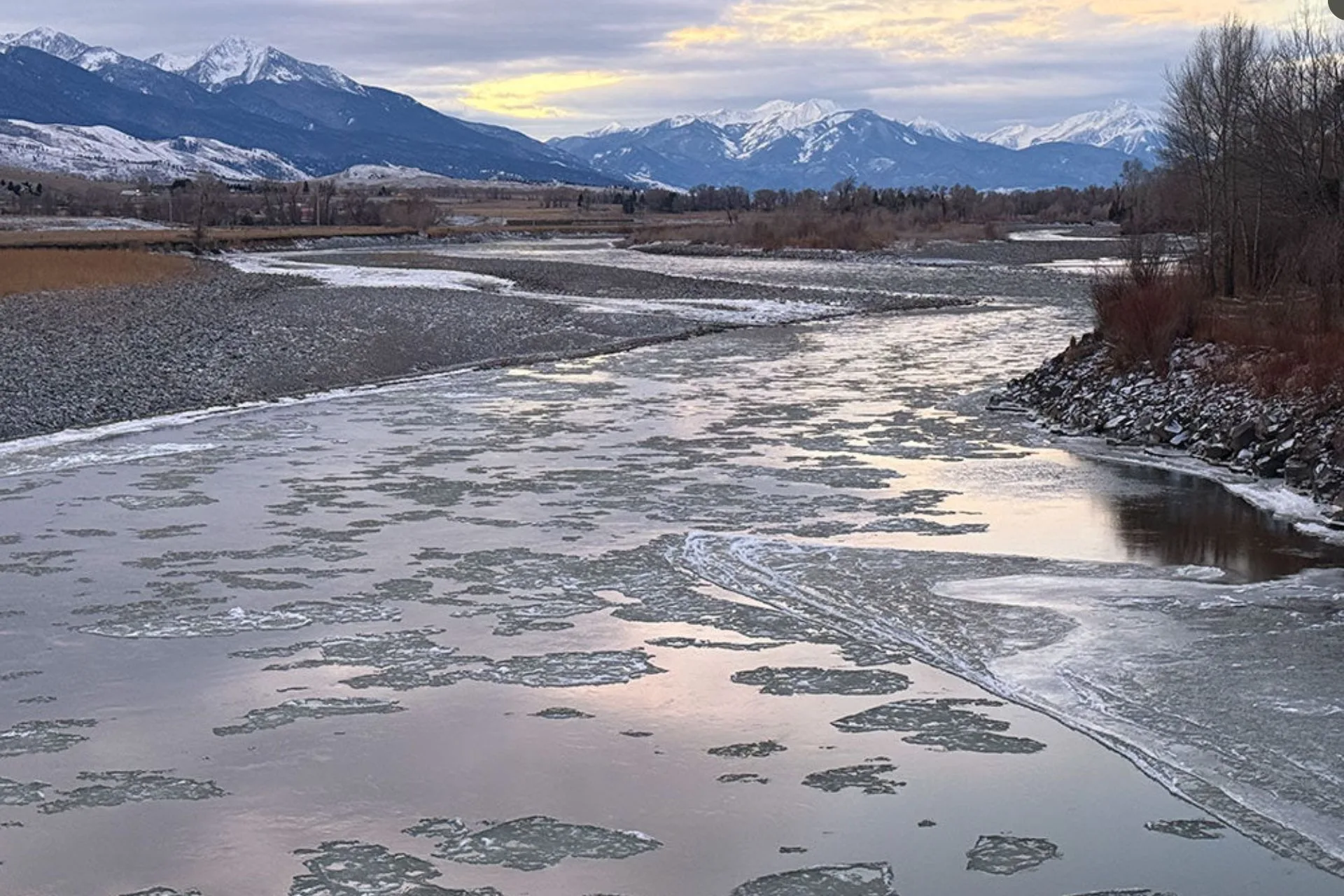 Yellowstone River Fishing Report 12.29.25