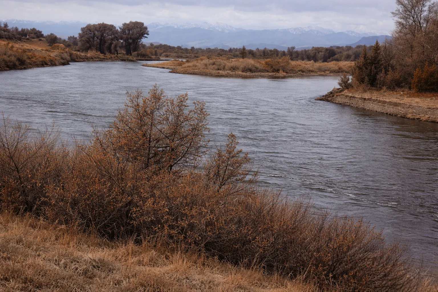 Missouri River Fishing Report 1.14.26