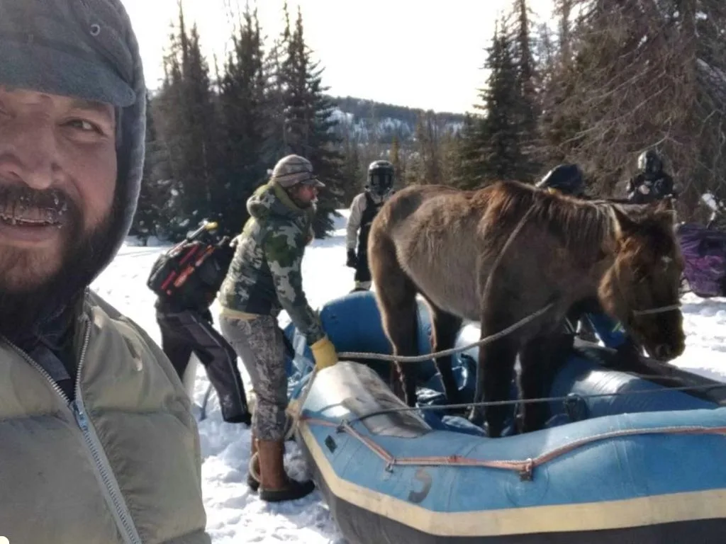 How a Community Rescued Mouse the Horse