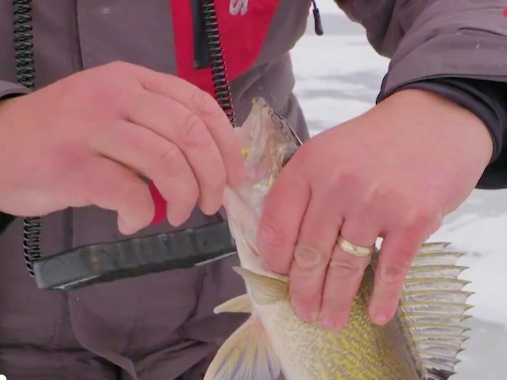 Best Gear and Technique for Walleye Ice Fishing Success