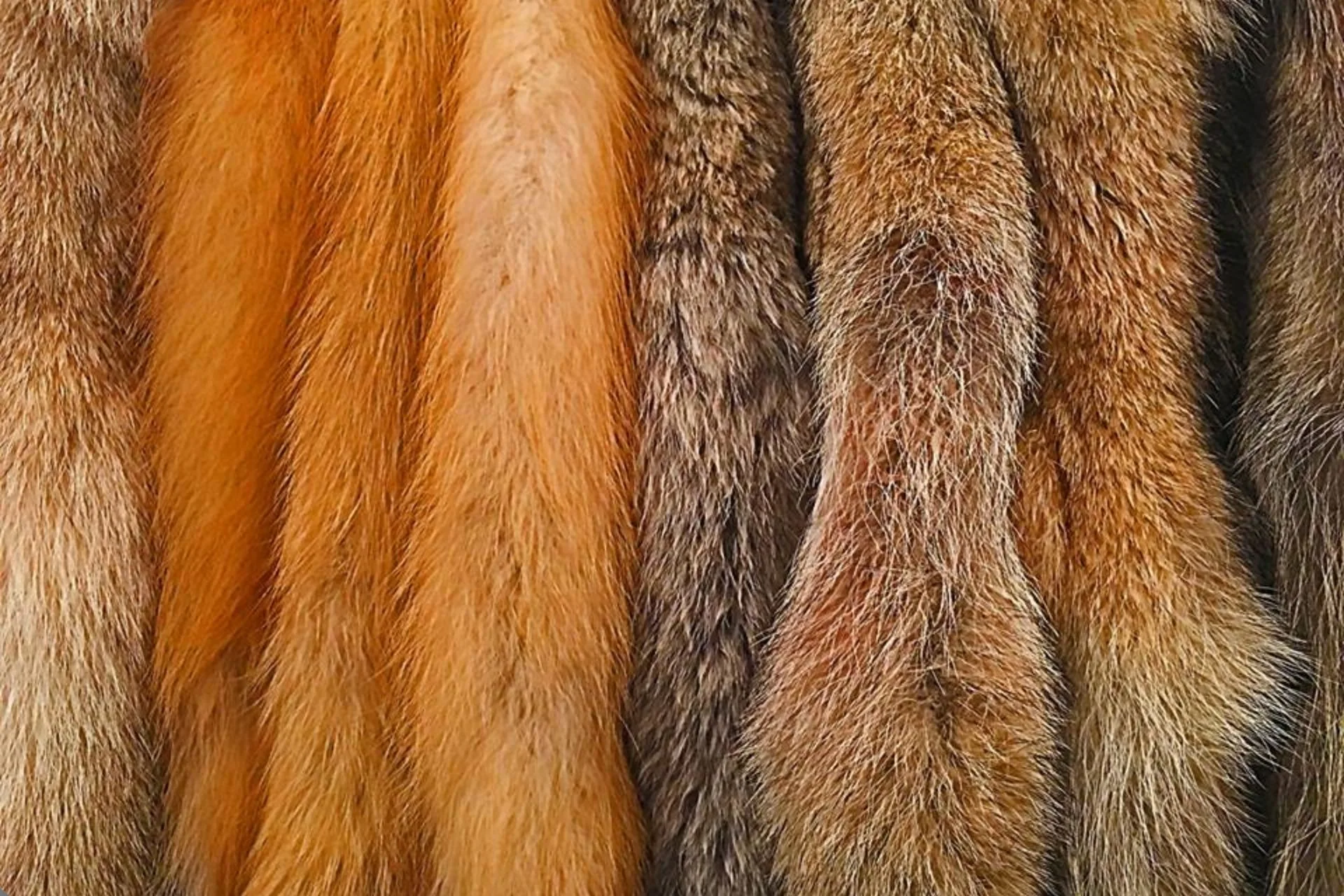 The Important Wildlife Tool Many Avoid Talking About