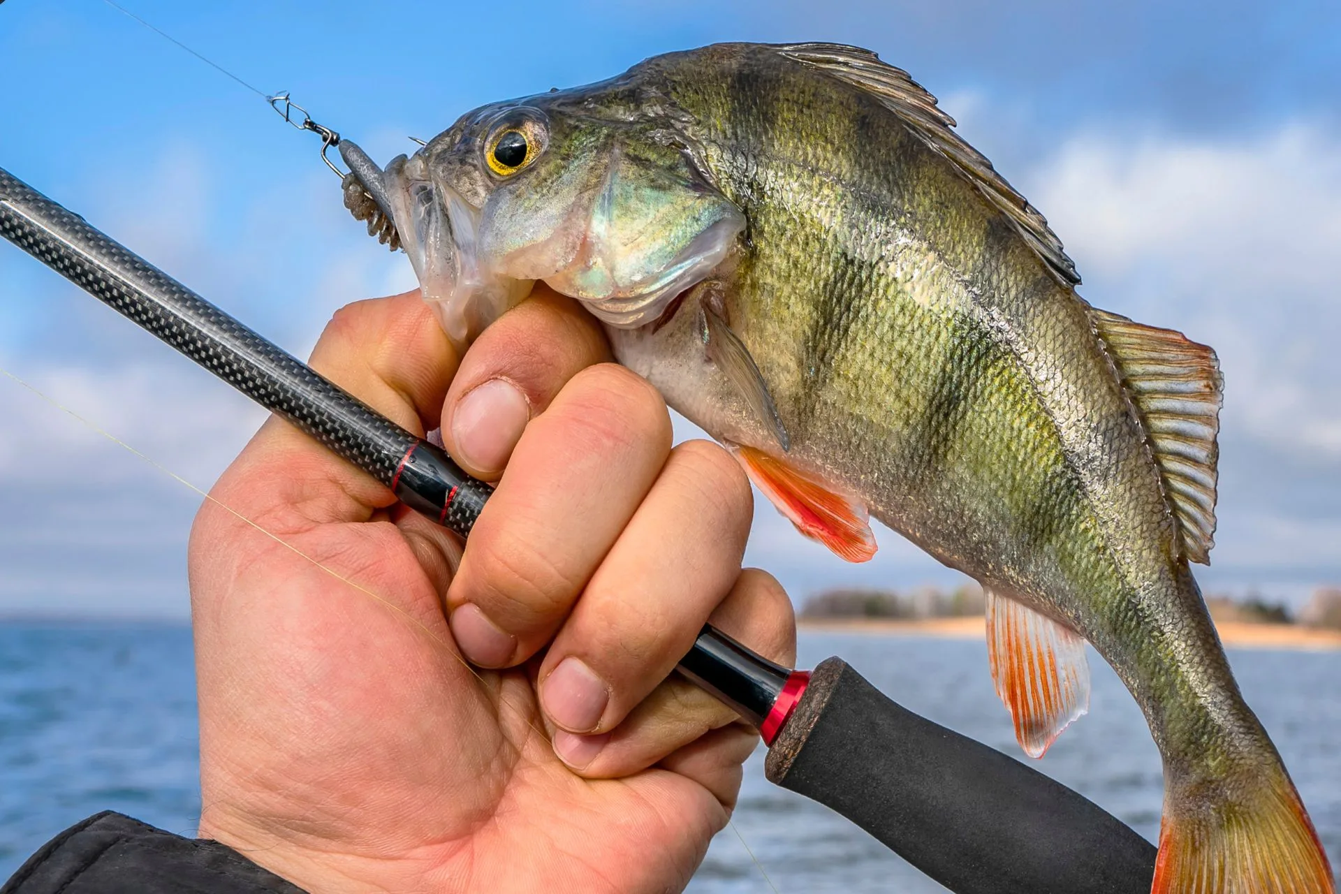 Macman’s Fishing Report 1.15.26