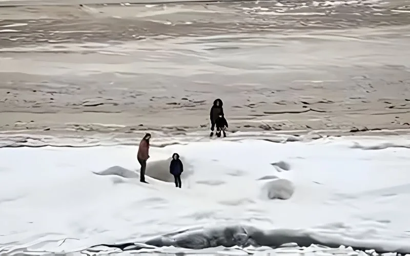 Just Say No To Ice Shelves