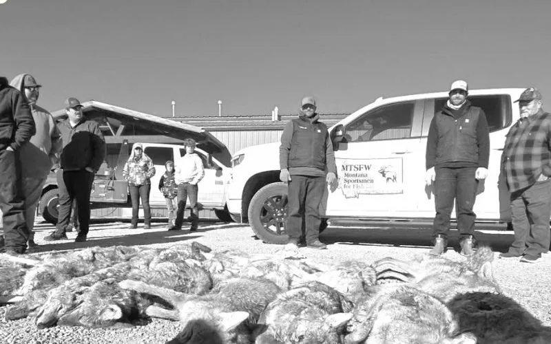 Southwest Montana Sportsmen Achieve Wildlife Conservation Success