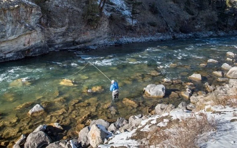 Gallatin River Fishing Report 1.21.26