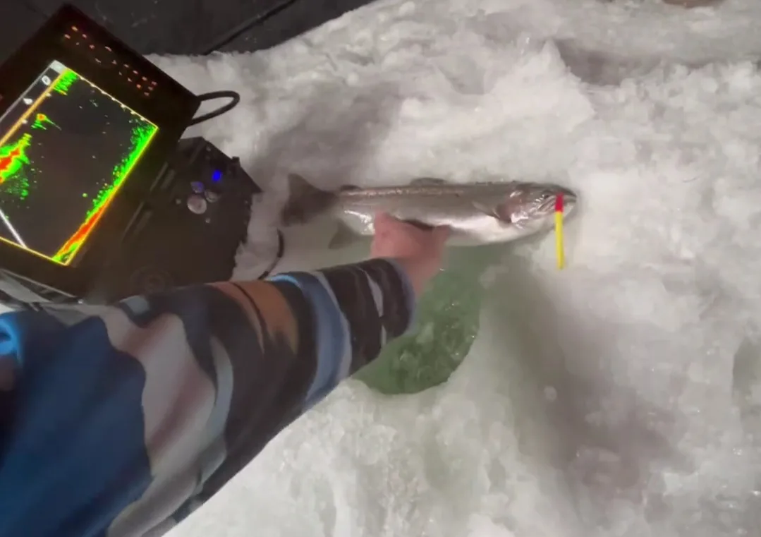 This Is Why We Ice Fish