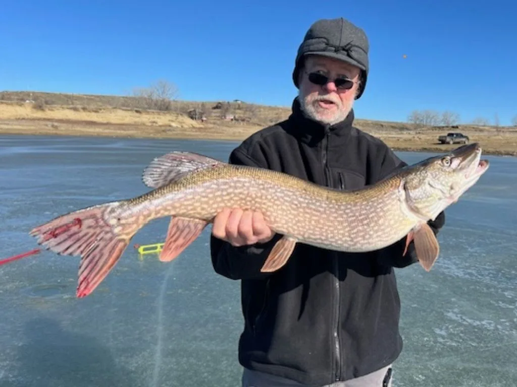 Don Wilkins’ Weekly Fort Peck, MT Fishing Report 2.19.26