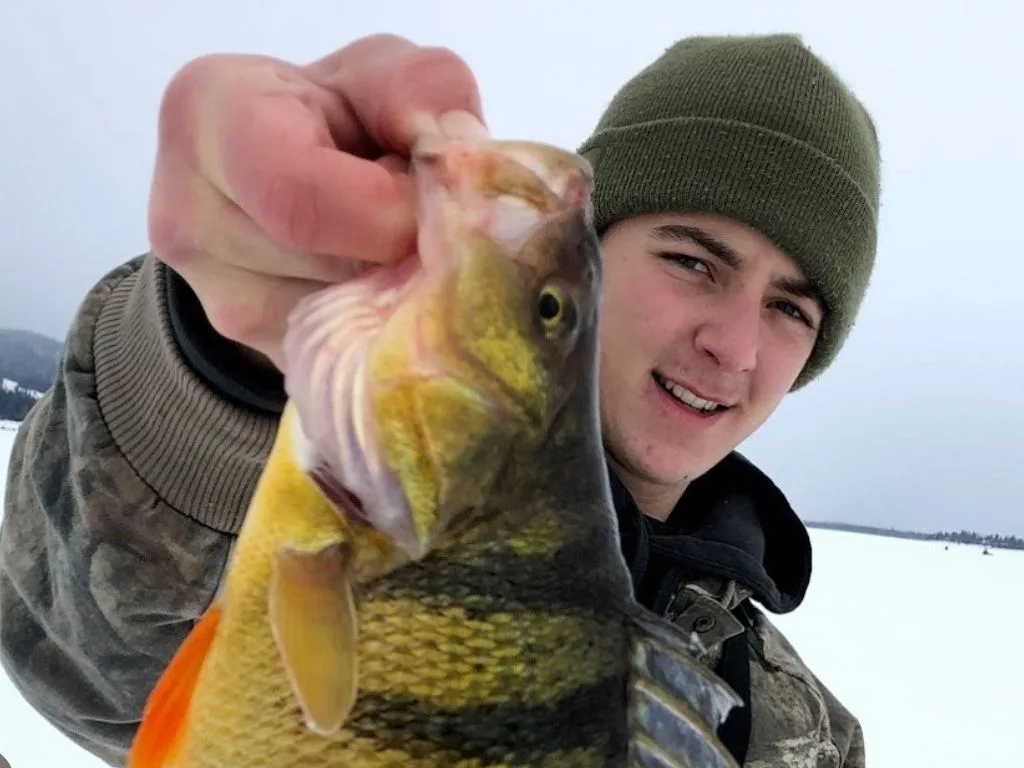 Are Slot Limits the Solution for Lake Cascade’s Perch Issues?