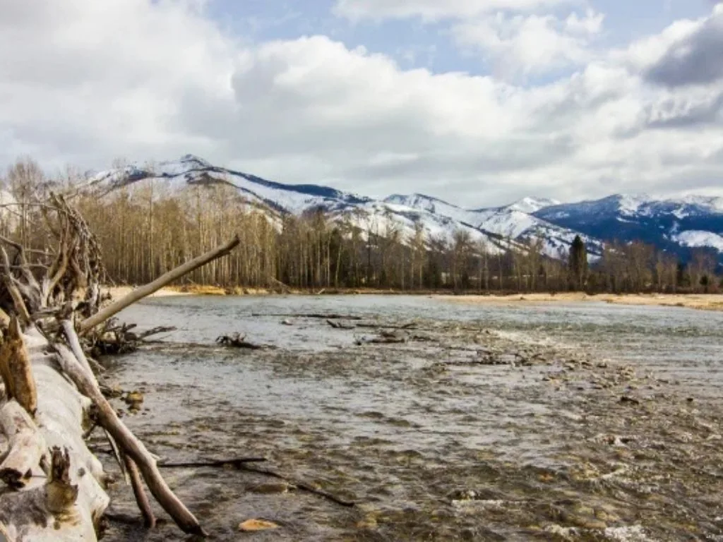 Bitterroot River Fishing Report: Late Winter Insights 2.25.26