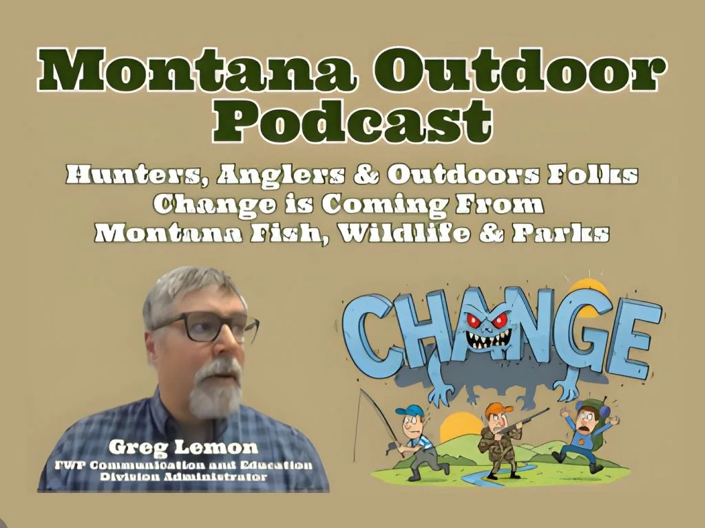 What is the License Ambassador Program? Find Out Here!