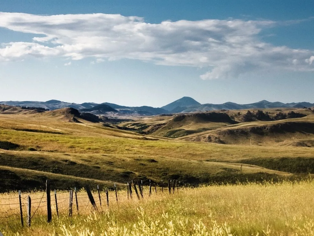 How do more hunters fit on less land? FWP seeks answers