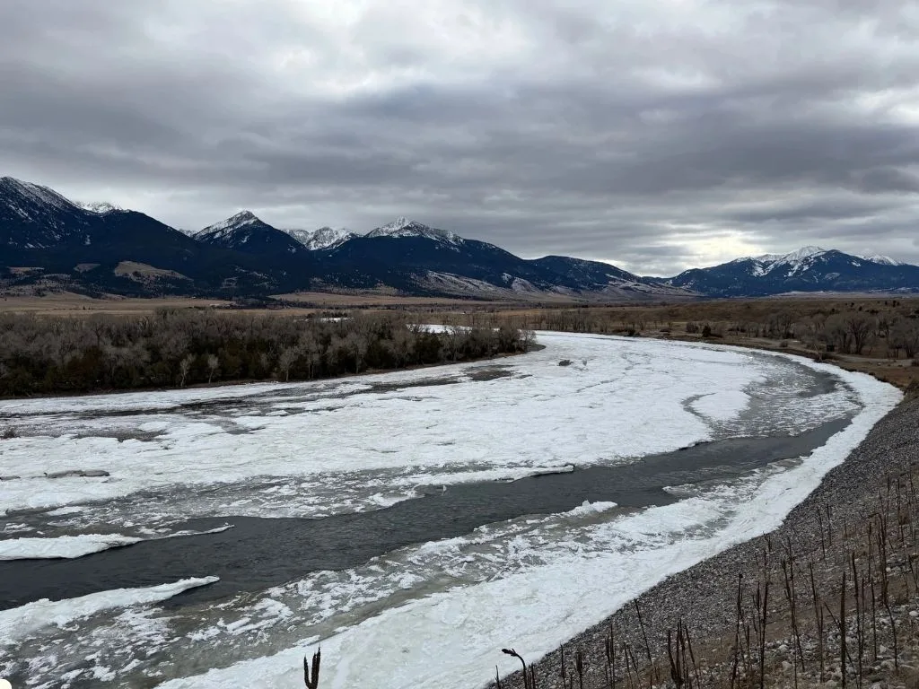Livingtson, MT Yellowstone River Fishing Report 2.5.26