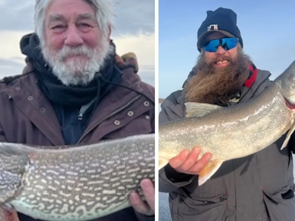 Don Wilkins’ Weekly Fort Peck Ice & Fishing Report 2.6.26