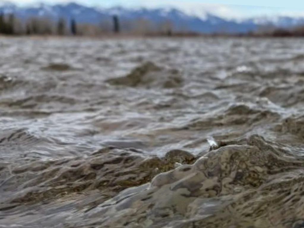 February 2026 Fishing Report: Glacier National Park & Flathead Valley