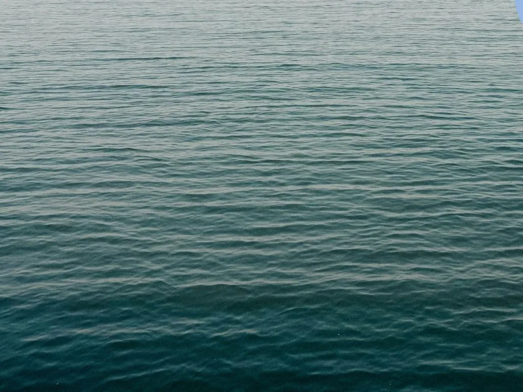 Open Water Alert: Fishing Conditions at First Lake Near Havre, MT