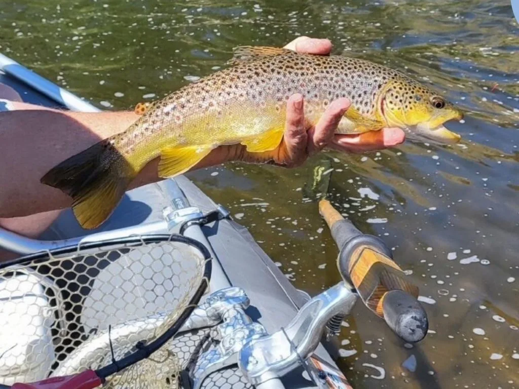 Dillon, MT Beaverhead River Fishing Report 2.9.26